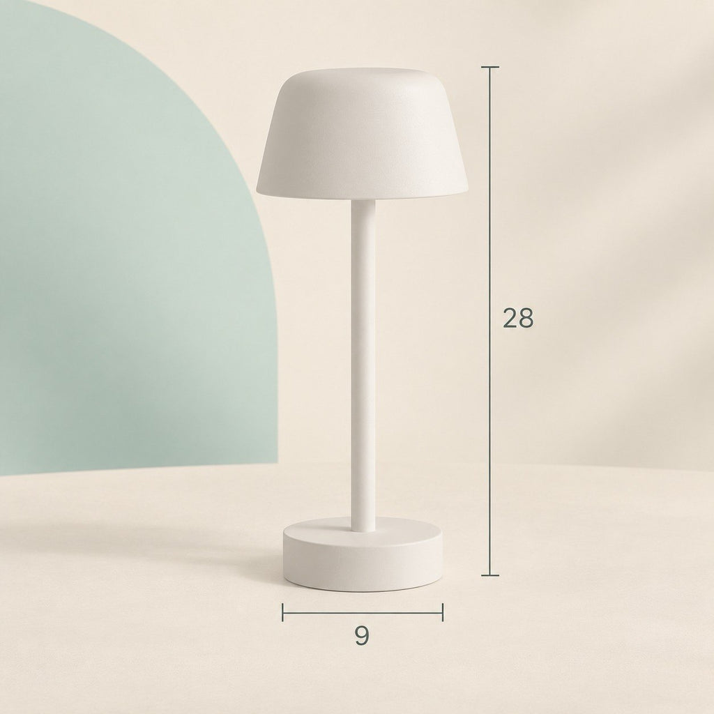 Dome Lamp